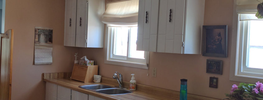 Saving on Kitchen Renovation Costs Saving on Kitchen Renovation Costs